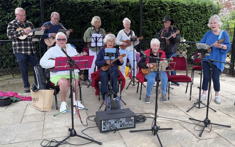 ukulele online